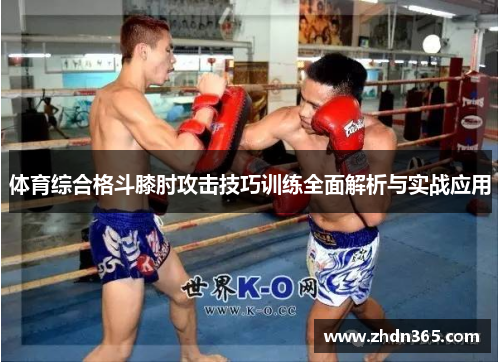 体育综合格斗膝肘攻击技巧训练全面解析与实战应用
