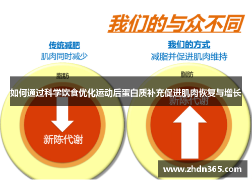 如何通过科学饮食优化运动后蛋白质补充促进肌肉恢复与增长