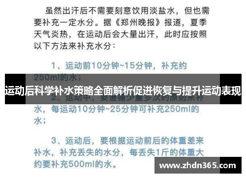 运动后科学补水策略全面解析促进恢复与提升运动表现