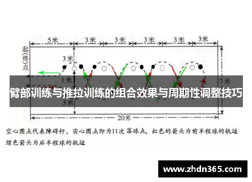 臂部训练与推拉训练的组合效果与周期性调整技巧