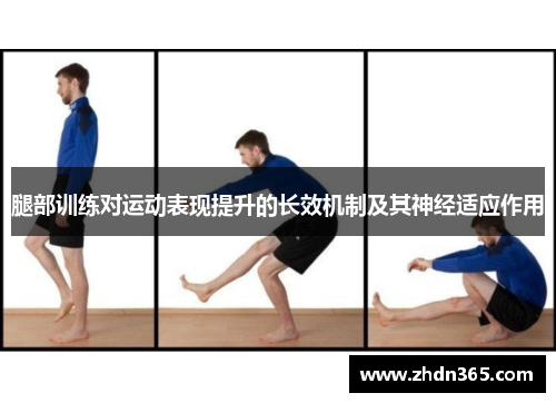 腿部训练对运动表现提升的长效机制及其神经适应作用